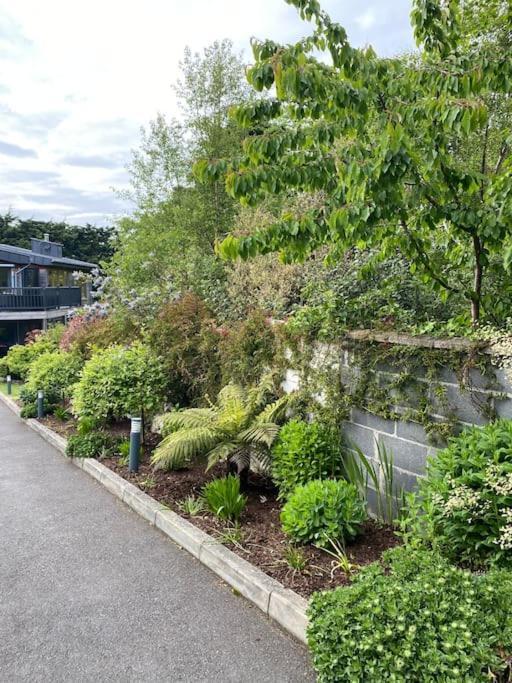 Beautiful Garden Apartment With Private Patio And Garden View Dublino Esterno foto